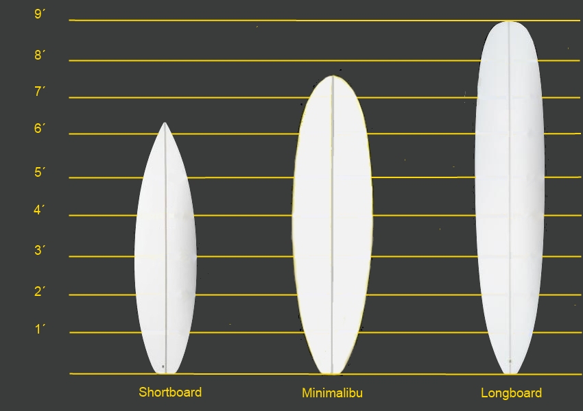 Types of surfboards 2024 for beginners